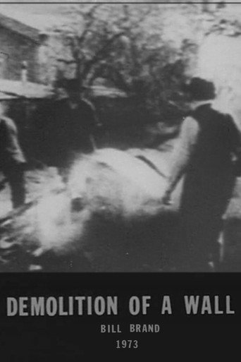 Movie poster for Demolition of a Wall (1973)