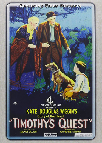 Movie poster for Timothy's Quest (1922)