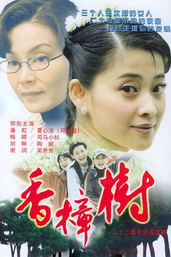 香樟树 poster