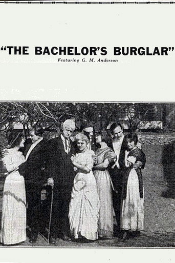 Movie poster for The Bachelor's Burglar (1915)