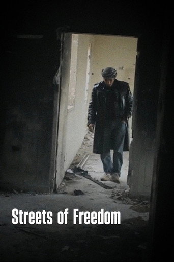 Movie poster for Streets of Freedom (2012)