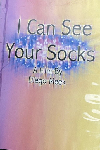Movie poster for I Can See Your Socks (2013)