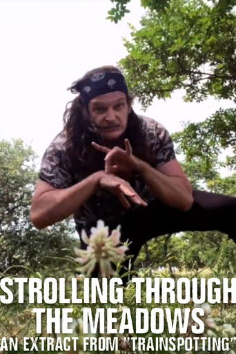 Strolling Through the Meadows poster