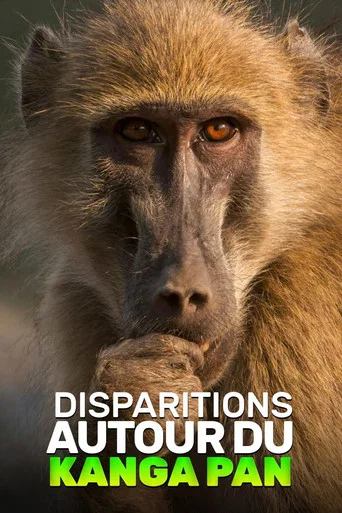 Movie poster for Disparitions autour du Kanga Pan (2019)