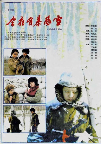 今夜有暴风雪 poster