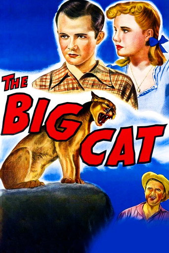 Movie poster for The Big Cat (1949)