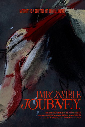 Movie poster for Impossible Journey (2024)
