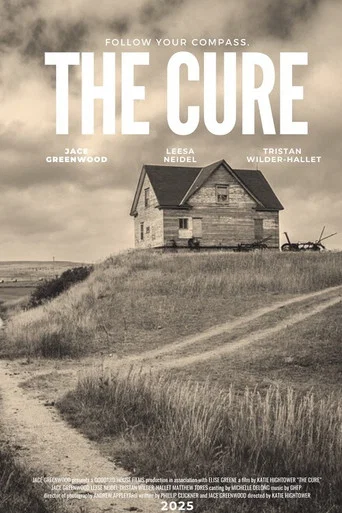 Movie poster for The Cure (2025)