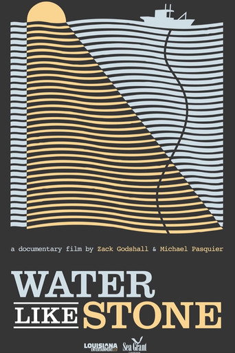 Movie poster for Water Like Stone (2012)