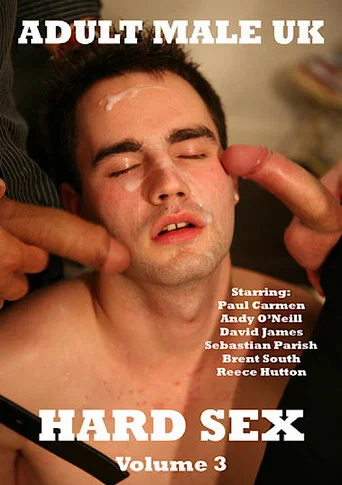 Movie poster for Hard Sex 3 (2014)