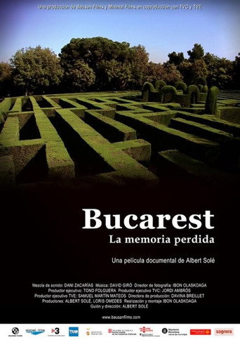 Bucarest, la memòria perduda poster