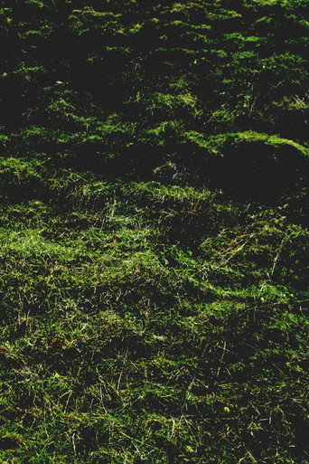 Movie poster for Untitled / Aubrac (2016)