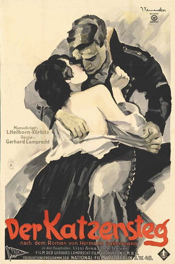 Movie poster for The Cat's Bridge (1927)