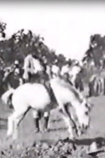 Movie poster for Cavalier sur un cheval rétif (1896)