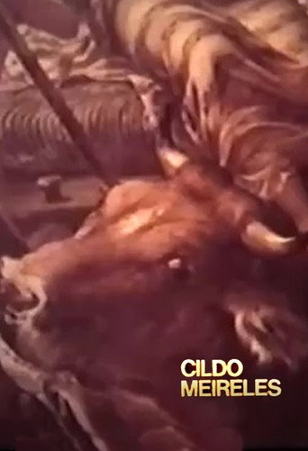 Movie poster for Cildo Meireles (1979)