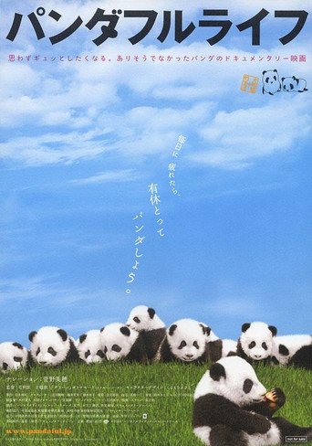 Movie poster for Panda Days (2008)