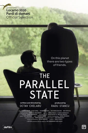 Movie poster for The Parallel State (2020)