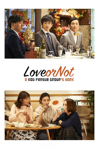 Love or Not poster