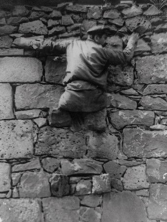 At the Price of a Thousand poster