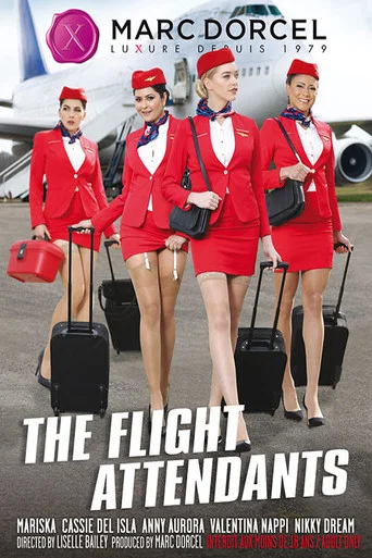 Movie poster for The Flight Attendants (2019)