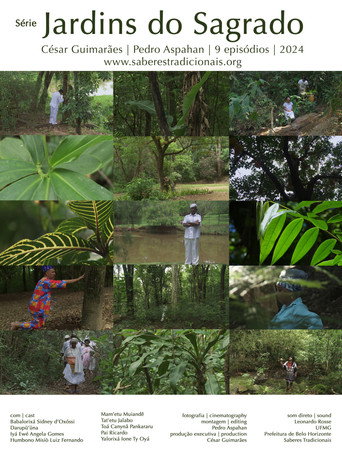 Movie poster for A Ecologia dos Orixás (2024)