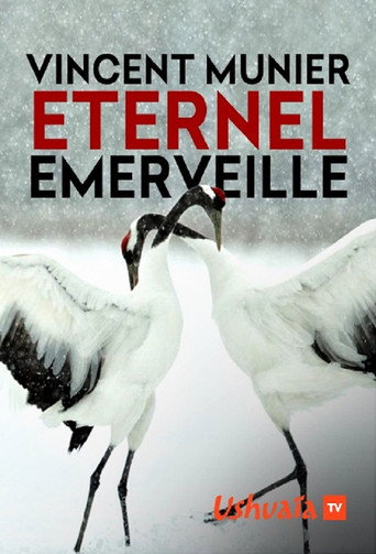 Movie poster for Vincent Munier, éternel émerveillé (2019)