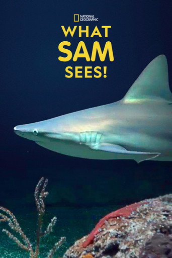 Series poster for What Sam Sees (2018)