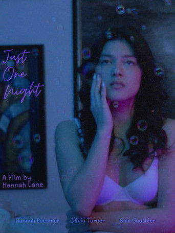 Just One Night poster