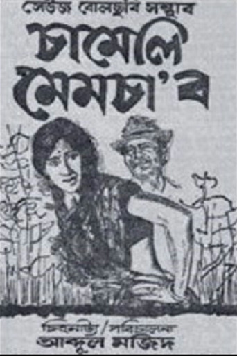 Movie poster for Chameli Memsaab (1975)