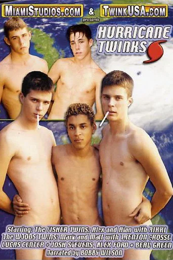 Movie poster for Hurricane Twinks (2006)