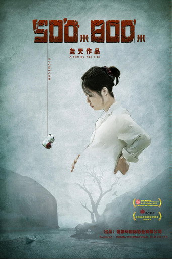 Movie poster for 500M800M (2016)