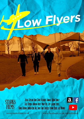 Movie poster for Low Flyers (2019)