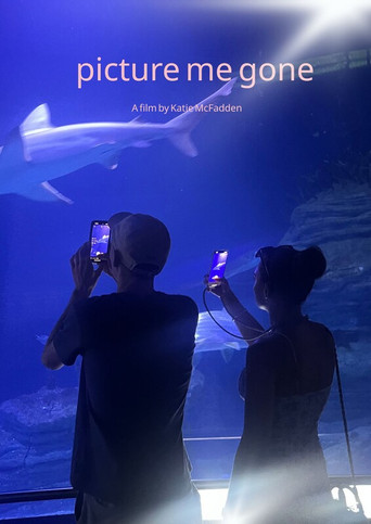 Movie poster for Picture Me Gone (2025)