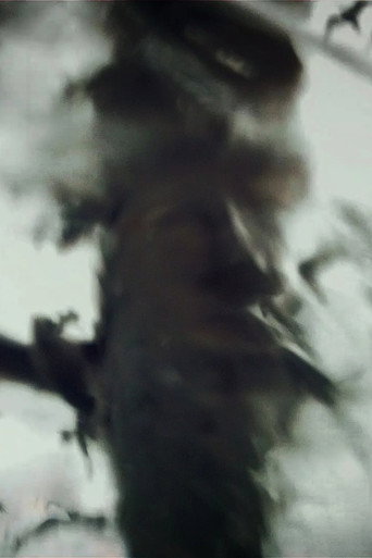 Movie poster for Spirit Stills (2013)