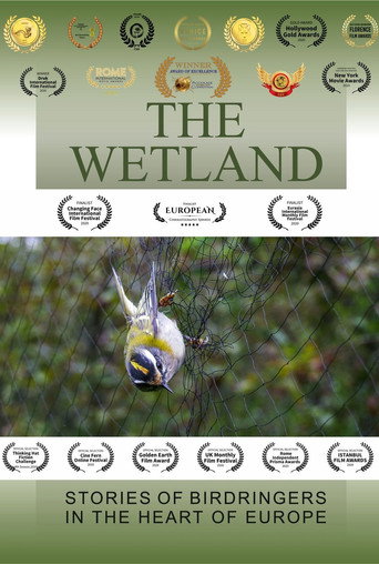 Movie poster for The Wetland (2020)