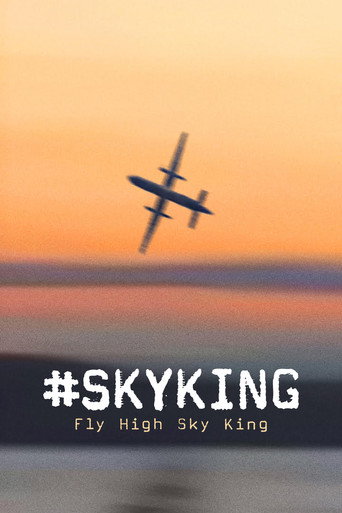 Movie poster for #SKYKING (2026)