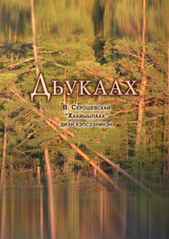 Movie poster for The Settler (1996)