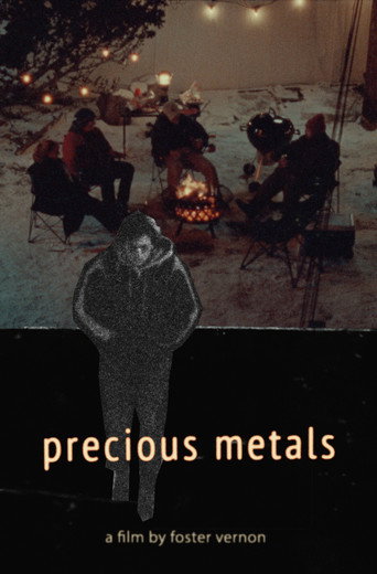 Movie poster for Precious Metals (2024)