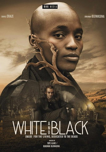 Movie poster for White and Black (2025)