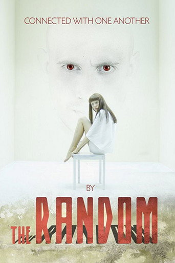 Movie poster for The Random (2013)
