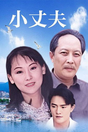 小丈夫 妻大姐 poster