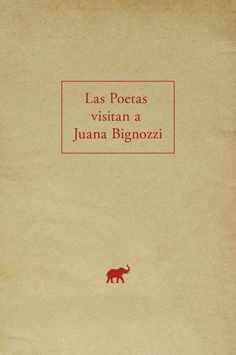 Movie poster for The Poets Visit Juana Bignozzi (2019)