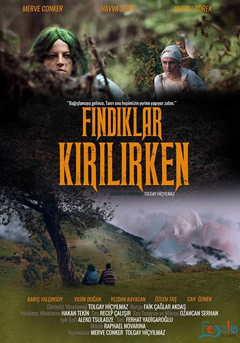 Movie poster for Fındıklar Kırılırken (2018)