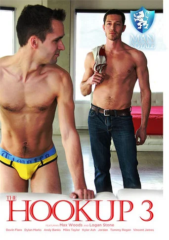 Movie poster for The Hookup 3 (2016)