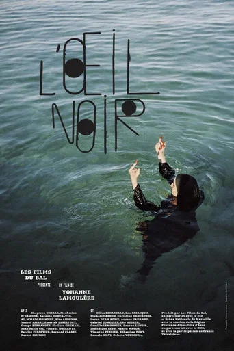 Movie poster for L'Œil noir (2025)