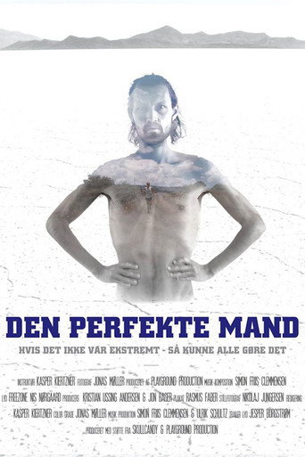 Movie poster for Den Perfekte Mand (2015)