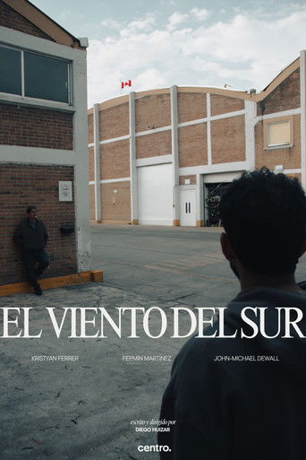 El viento del sur poster