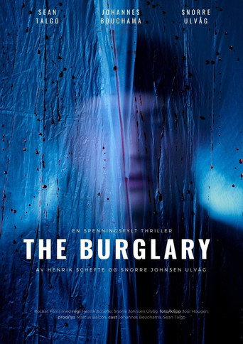 Movie poster for The Burglary (2021)