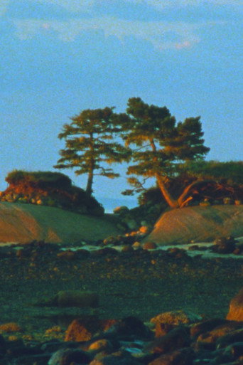 Movie poster for Two Trees (2024)