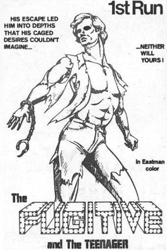 Movie poster for The Fugitive and the Teenager (1971)